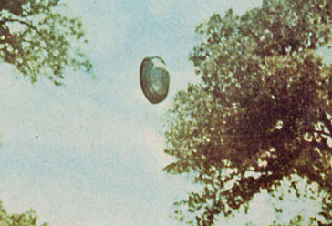 Resultado de imagen para ufo, paul villa
